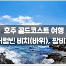 팜비치