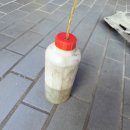 블루디젤모터스 이미지