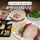 맛정당 | [원이네회식당] 속초 푸짐한 모듬회 맛집 가성비 회포장 후기