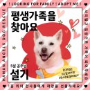 설기/여아/5살 이미지