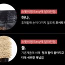 뷰티나인
