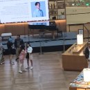 아델라인글로벌