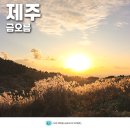 서쪽하늘풍경 | 제주 오름 추천 금오름 금악오름 제주 서쪽 가볼만한곳
