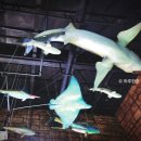 펭귄식당부천점 | 영아 뇌발달에 좋은 부천 웅진플레이도시 플레이아쿠아리움 주말 나들이 후기 (31개월, 6개월 아기랑)