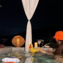 스테이우드 이미지