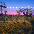 여행과치유 이미지