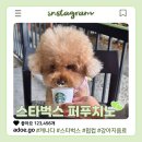 펍 my my | 강아지랑 캐나다, 라떼도 스타벅스 펍컵(퍼푸치노) 먹어봤어요