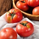 토마토 - 부평구 주부토로22번길 10-1 | 토마토