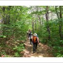 덕구온천주차장 이미지