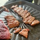 평화누리캠핑장 | ️ ⛺ 서울 근교 카라반 글램핑 파주 임진각 평화누리캠핑장 후기 💚