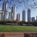 동탄센트럴파크 축구장 네이버블로그