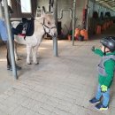 거창 오로라 승마장 이미지