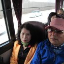 정홍석농장 Daum카페
