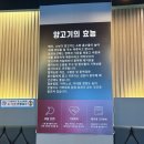 안양역 맛집 추천! 회식장소로도 좋은 일번가양꼬치 솔직후기