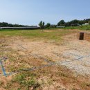 대현태양광발전소 이미지