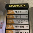 엘리팝춘천우두점