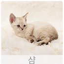 예쁨더하기 이미지