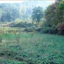 고령농장 이미지