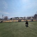 몽드드뚜뚜 이미지