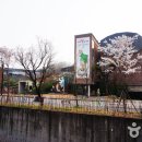 피노지움 이미지