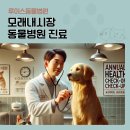 모래내동물병원 네이버블로그