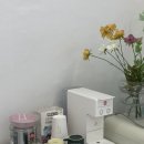 웬디브로우