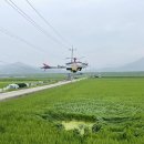 연꽃테마파크 방문자 센터 이미지