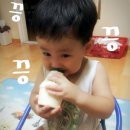 줌마델라