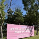 공원매점 | 2025 서울 잠원 한강공원 수영장 주말 오픈런 후기/ 요금, 주차, 매점