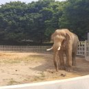 전주동물원 이미지