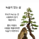 당신 옆에 이런 사람이 있습니까? 이미지