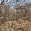 의주농장 이미지