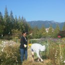 반림중학교 이미지