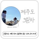 동산흑염소 | [제주] 슈퍼J의 3박4일 3일차, 서프라이즈 프로포즈, 그리고 흔들린 계획