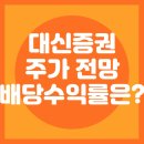 <b>대신증권</b> 주가 전망 배당금 지급일 배당많이 주는 주식