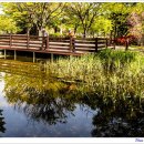 부평공원 이미지