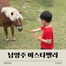 카페비스타 | 남양주 승마체험 카페 비스타밸리 아기랑 솔직 후기