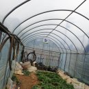 국희농장 이미지