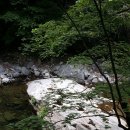 산천초목 이미지