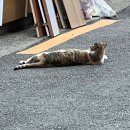 스마트허브3 5층 휴게실, 6층 휴게실 | 쿠팡 시흥2센터 오후조 IB(입고)로 들어가서 OB(출고)로 나옴