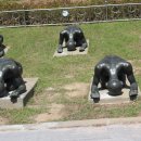 나훈아 - 테스형 이미지