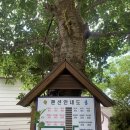 울릉명가펜션 이미지