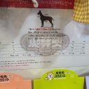 씨유펫성남모란점