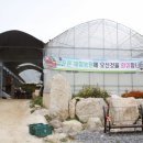 늘푸른농장2 이미지