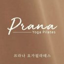 프라나요가필라테스