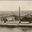 동양제모 이미지