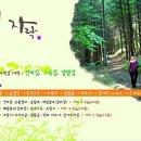 소백산 자락길 이미지