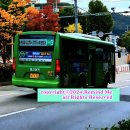 태성여객 이미지