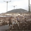 (주)임해관광 - 남구 | (주)임해관광
