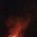 2019년 송년음악회 Daum카페